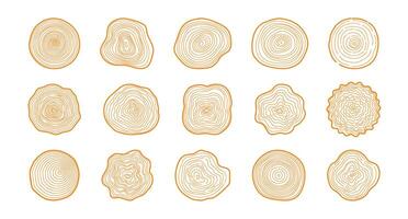 Tree rings. Hand drawn wood slice texture. Abstract tree age year circle. Line wooden circular ripple, nature timber, fractal stump. Organic trees material. set vector