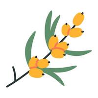 Sea buckthorn branch, cartoon style. Trendy modern illustration isolated on white background, hand drawn, flat design vector