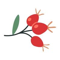 Rosehip fruits, cartoon style. Trendy modern illustration isolated on white background, hand drawn, flat design vector