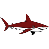 Hand Drawn Cartoon Shark png