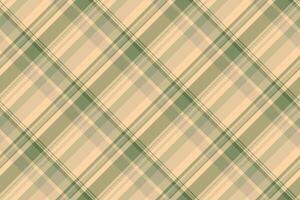 Textile pattern tartan of texture plaid with a background check fabric seamless. vector