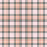 Bag check texture pattern, picture tartan textile background. Frame plaid seamless fabric in grey and pastel colors. vector