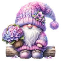 Garden Gnome with Hydrangeas Illustration. png