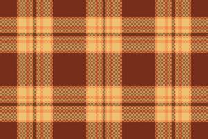 Pattern texture plaid of fabric tartan with a textile seamless background check. vector