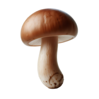 White Fresh Mushroom png