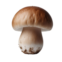 White Fresh Mushroom png