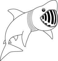 Basking Shark Isolated Coloring Page for Kids vector