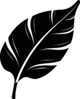 A black and white silhouette of a Banana leaf vector