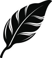 A black and white silhouette of a Banana leaf vector