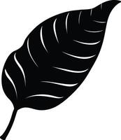 A black and white silhouette of a Banana leaf vector