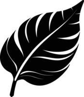 A black and white silhouette of a Banana leaf vector