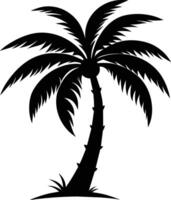 palm tree silhouette on white background vector