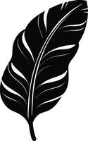 A black and white silhouette of a Banana leaf vector