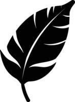 A black and white silhouette of a Banana leaf vector