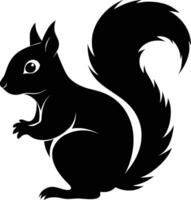 squirrel silhouette on white background vector