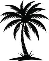 silueta de palmera sobre fondo blanco vector