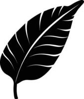 A black and white silhouette of a Banana leaf vector
