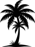 silueta de palmera sobre fondo blanco vector