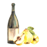 membrillo Fruta con botella de vino, maduro amarillo todo y cortar fruta. Fruta espíritu, vino, aguardiente, jugo, alcohol bebida etiqueta, pegatina impresión acuarela mano dibujado ilustración antecedentes. png