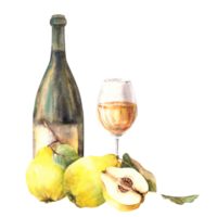 Quince fruit with bottle and glass of wine or juice, drink, yellow whole and cut fruit. Fruit liquor, wine, schnapps Alcohol label clipart Watercolor hand drawn illustration png