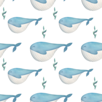 watercolor Baby whale with algae, plants. cute kids seamless pattern on transparent background png