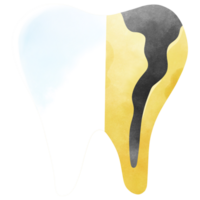 Normal teeth and decayed teeth png