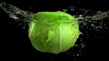 Super slow motion cabbage in water with air bubbles. Filmed on a high-speed camera at 1000 fps. High quality FullHD footage video