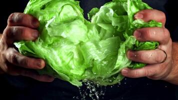 Super slow motion The cook break apart the fresh lettuce. High quality FullHD footage video