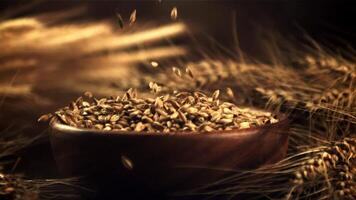 The super slow motion of wheat grains fall in the bowl. On a dark background. Filmed on a high-speed camera at 1000 fps.High quality FullHD footage video