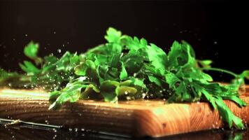 A bunch of parsley falls on the cutting board. On a black background. Filmed is slow motion 1000 fps. video