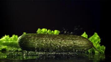 A fresh cucumber falls on the table with splashes of water. On a black background.Filmed is slow motion 1000 fps. High quality FullHD footage video