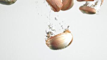 A badminton shuttlecock, a natural material, is captured midflight in macro photography against a white background. The fluid motion resembles a work of art video