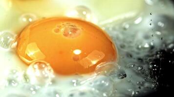 Super slow motion fried eggs. High quality FullHD footage video