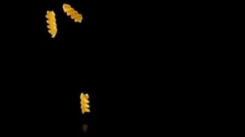 pasta is falling in slow motion on a black background . High quality video