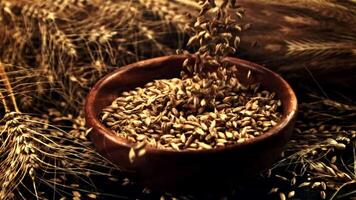 Super slow motion of rye grains fall on the table. High quality FullHD footage video