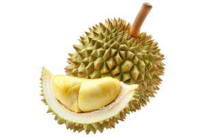 frisch Durian Thailand Obst tropisch png
