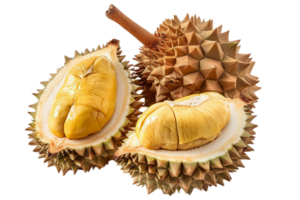 färsk Durian thailand frukt tropisk png