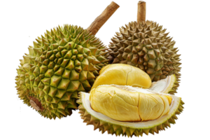 fresh durian thailand fruit tropical png