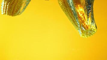 super langzaam beweging maïs valt onder water met bubbels. hoog kwaliteit full HD beeldmateriaal video