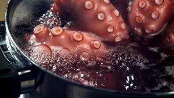 Super slow motion Octopus is boiled in a saucepan. High quality FullHD footage video