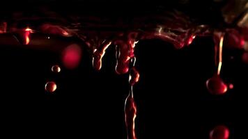 Super slow motion drops of red wine fall down. On a black background. Filmed on a high-speed camera at 1000 fps.. High quality FullHD footage video