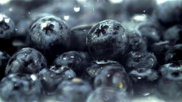 Super schleppend Bewegung Tropfen von Wasser fallen auf Blaubeeren. Makro Hintergrund. gefilmt auf ein schnelle Geschwindigkeit Kamera beim 1000 fps.hoch Qualität fullhd Aufnahmen video