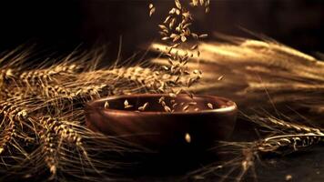 The super slow motion of wheat grains falls on a plate on the table. On a black background.Filmed on a high-speed camera at 1000 fps.High quality FullHD footage video