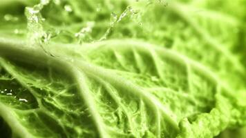 Drops of water fall on a leaf of Beijing cabbage. Macro background. Filmed is slow motion 1000 fps. video