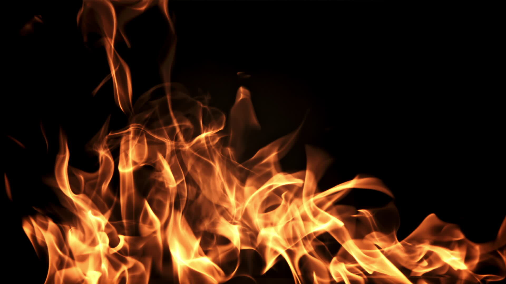 Tongues of bright flame of fire. On a black background. Filmed is slow