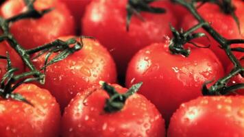 gouttes de l'eau tomber sur le tomates sur le branche. macro Contexte. filmé est lent mouvement 1000 ips. haute qualité Full HD métrage video