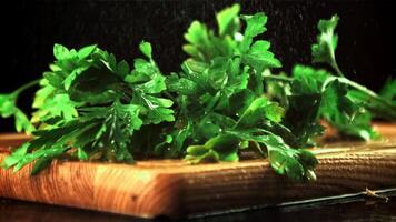 Drops of water fall on fresh parsley. On a black background. Filmed is slow motion 1000 fps. video