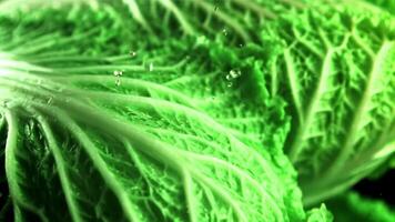 Drops of water fall on a leaf of Beijing cabbage. Macro background. Cabbage texture. Filmed is slow motion 1000 fps. video