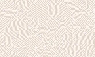 White and Brown Turing Diffusion Abstract Organic Pattern vector