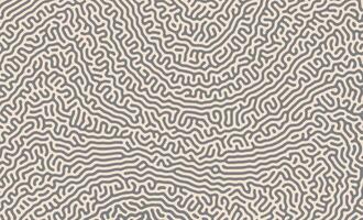 Grey and White turing pattern structure oraganic lines background vector